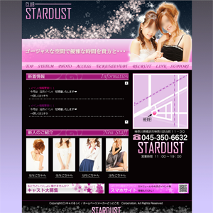 no.023 Stardust